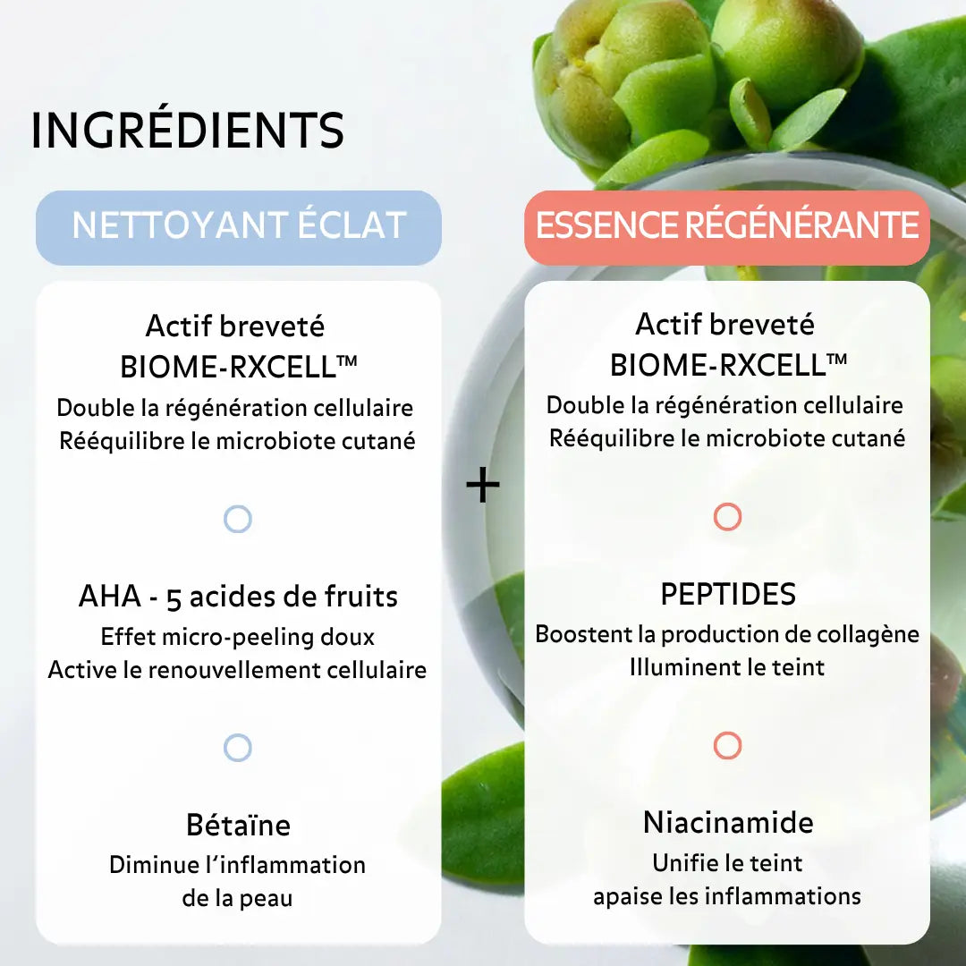 Actifs soins Puréality Paris avec AHA, bétaïne, peptides et niacinamide pour exfolier en douceur, hydrater, apaiser et illuminer le teint