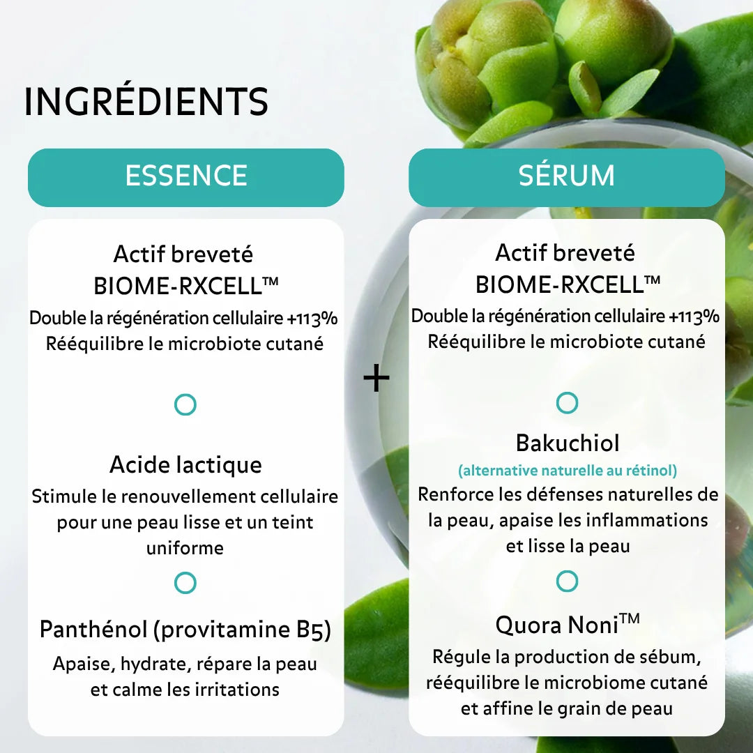 Ingrédients : Essence Purifiante contient l&