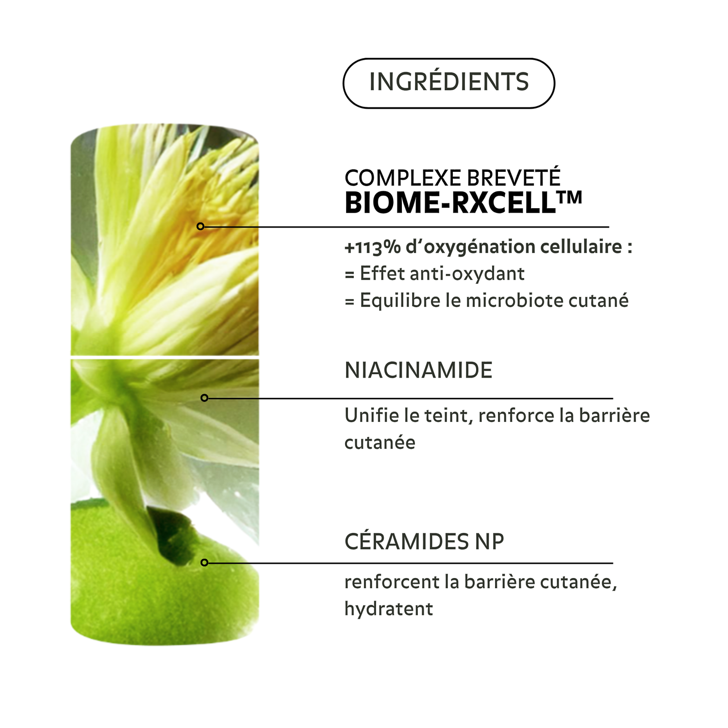 Crème-Sérum Hydra-Confort