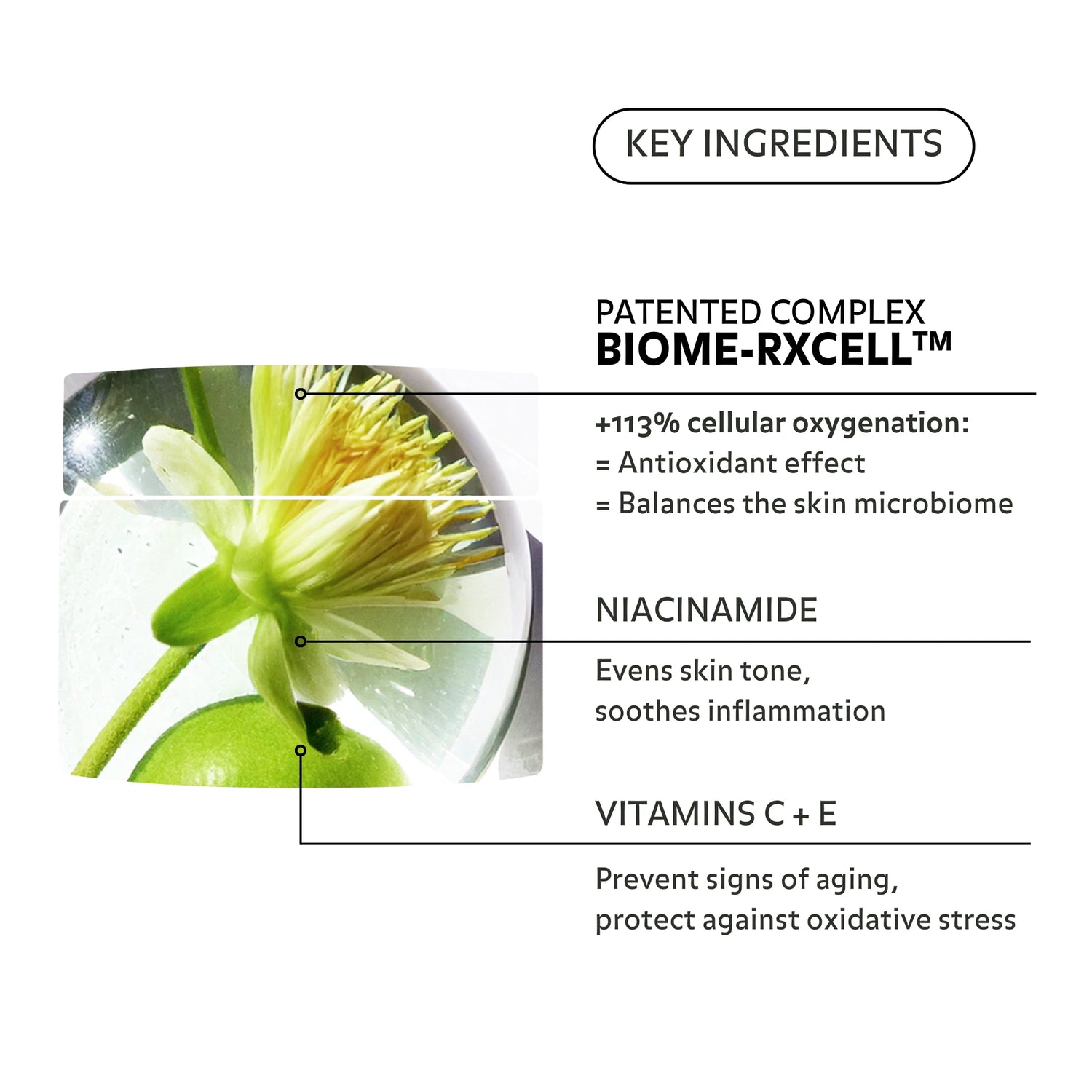 Crème Éclat Régénérante de Puréality sont composés d&