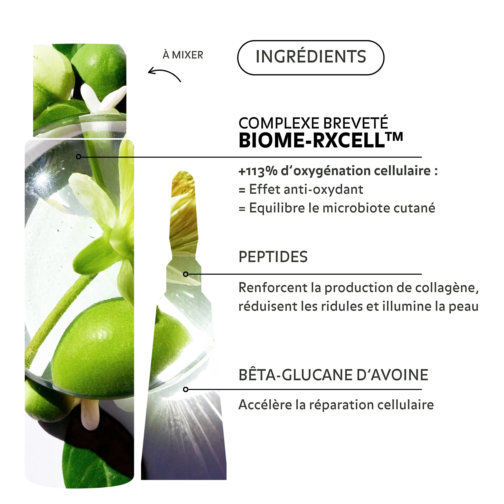 Ingrédients de l’essence régénérante Puréality : peptides, bêta-glucane d’avoine, complexe breveté Biome-Rxcell™ pour éclat, réparation et équilibre du microbiote.