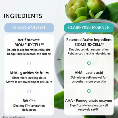 Puréality skincare ingredients with BIOME-RXCELL, AHA fruit acids, lactic acid, betaine and pomegranate enzymes for gentle exfoliation