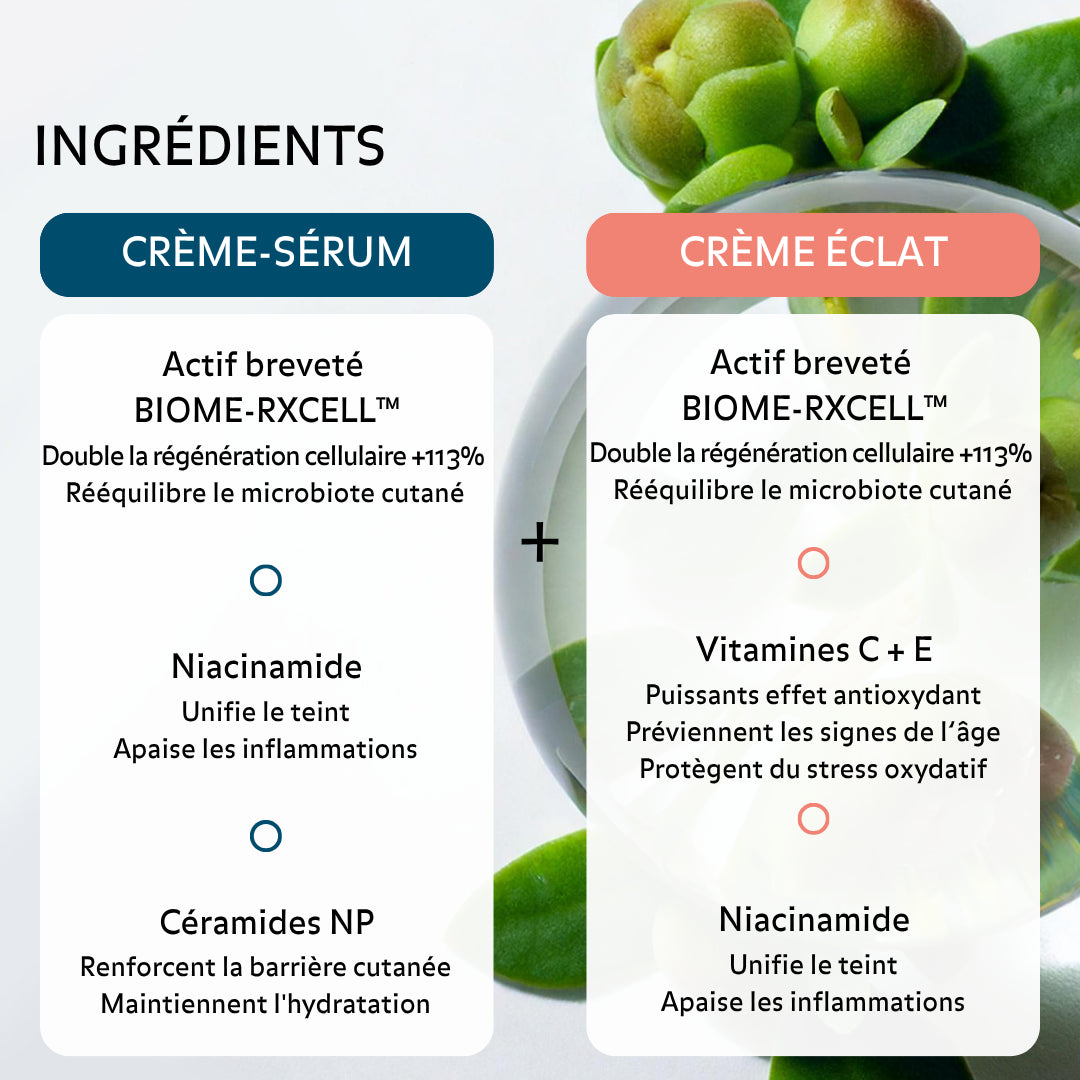 Formule soins visage Pureality avec actifs BIOME RXCELL niacinamide céramides vitamines C et E pour renforcer la barrière cutanée hydrater intensément et améliorer l’éclat du teint