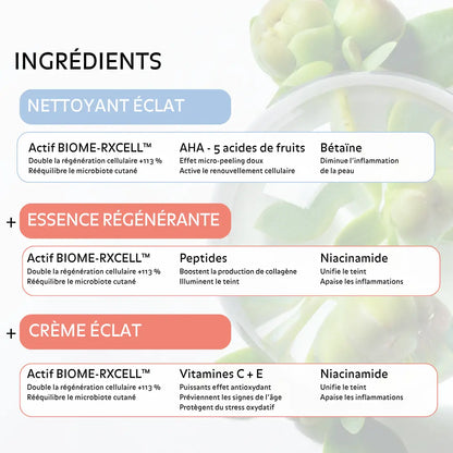Ingrédients soins visage Pureality avec BIOME RXCELL AHA peptides niacinamide vitamines C et E pour exfolier en douceur stimuler le collagène hydrater et améliorer l’éclat du teint