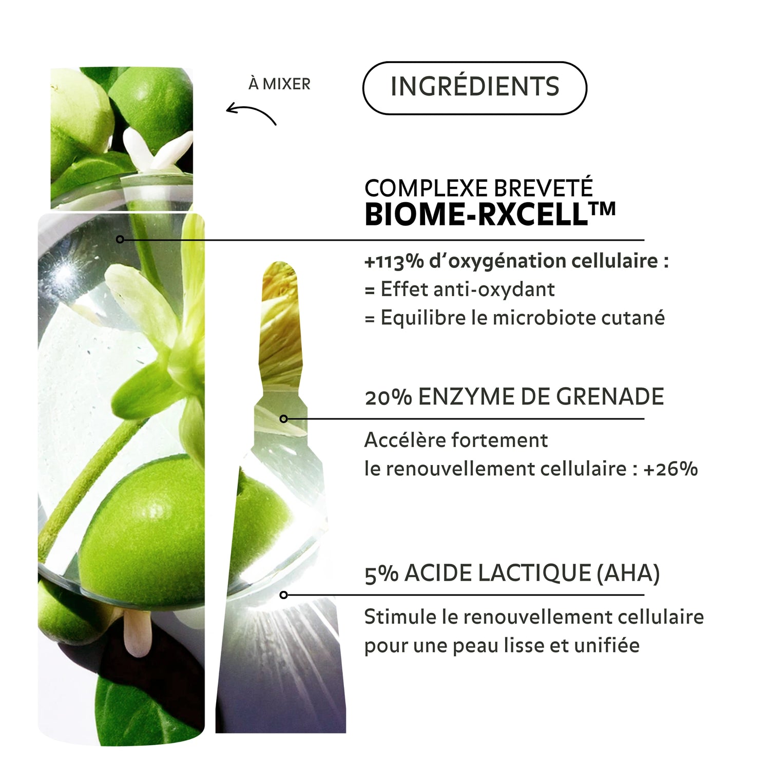 Ingrédients de l’essence purifiante Puréality : enzyme de grenade et acide lactique pour un renouvellement cellulaire optimisé, avec complexe breveté Biome-Rxcell™ pour une peau éclatante et équilibrée.