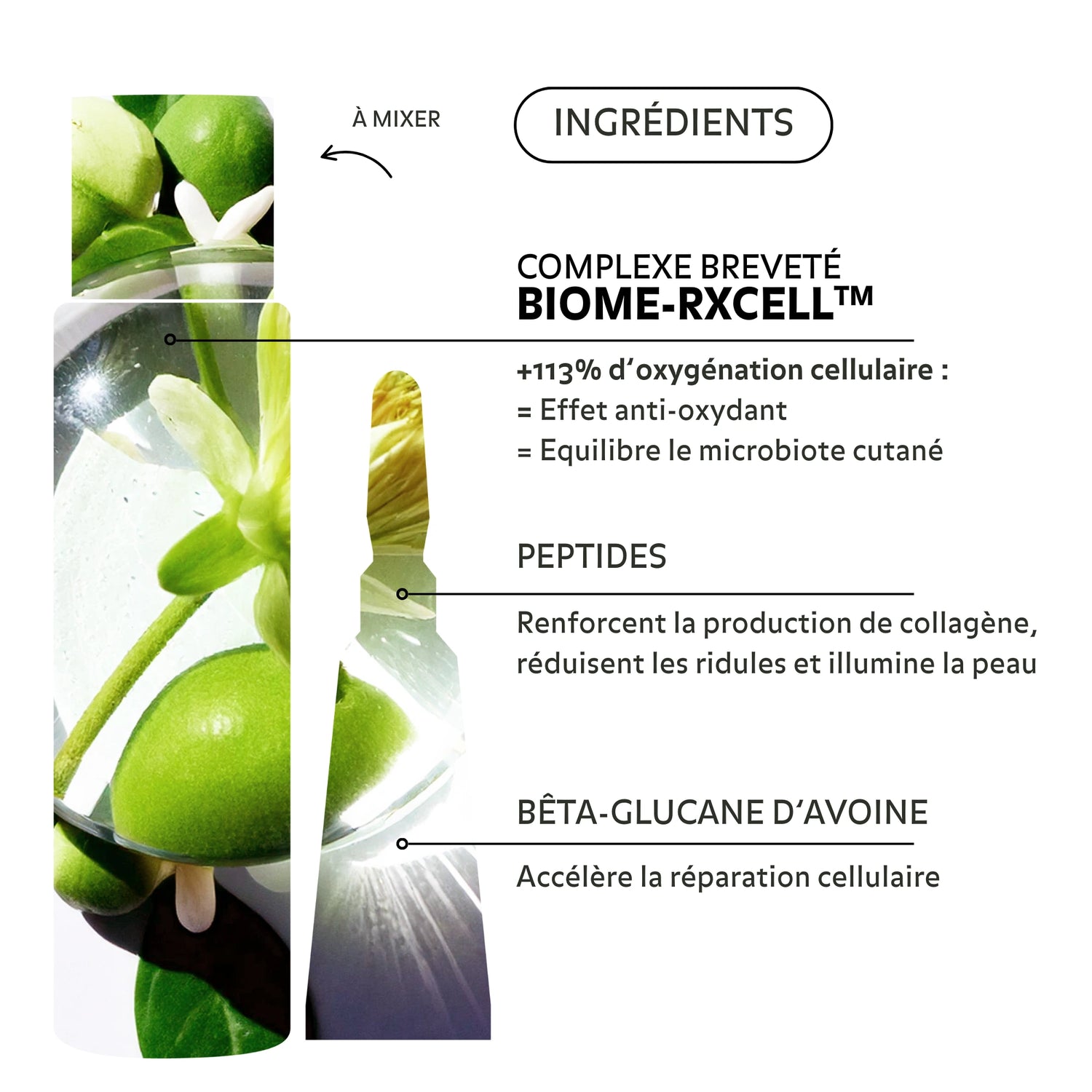 Ingrédients de l’essence régénérante Puréality : peptides, bêta-glucane d’avoine, complexe breveté Biome-Rxcell™ pour éclat, réparation et équilibre du microbiote.