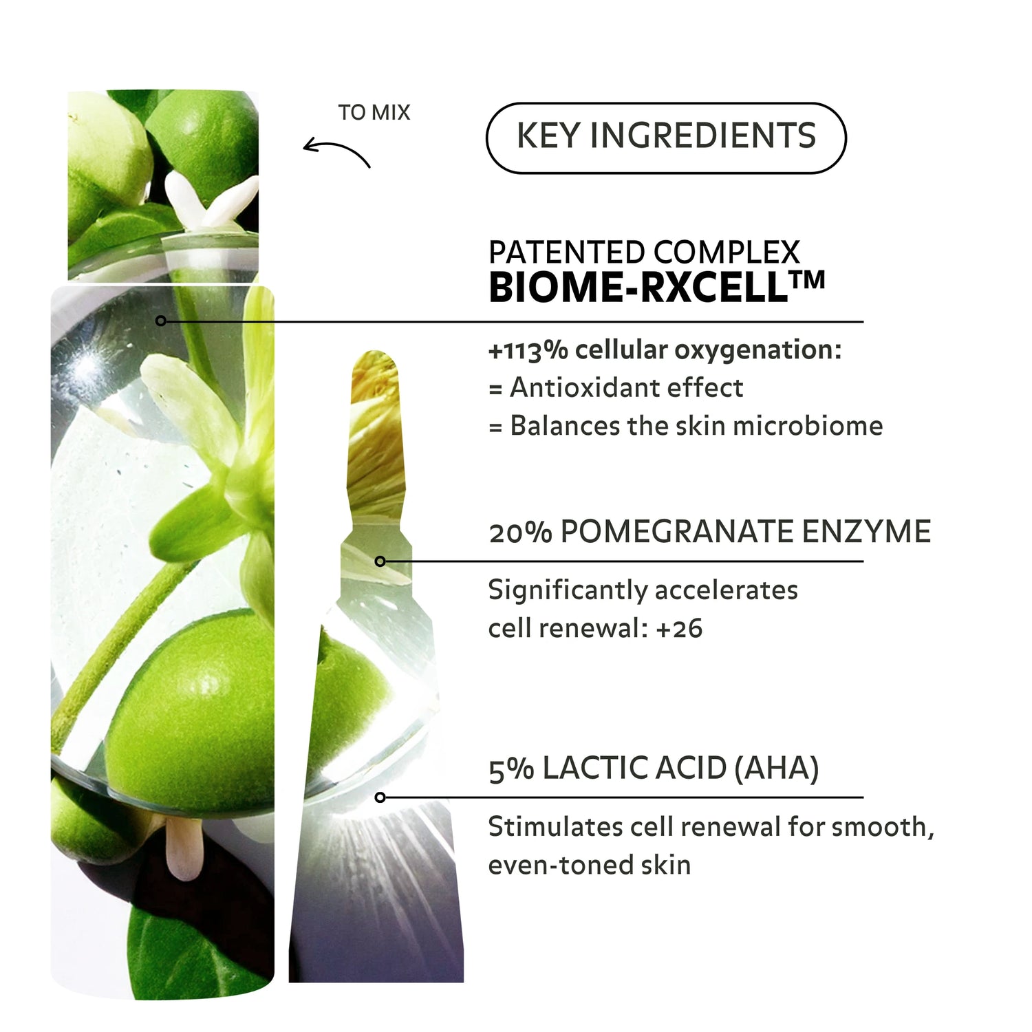 Les ingrédients clés de l&