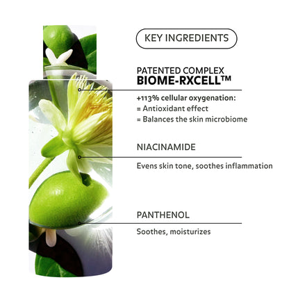 Ingrédients clés de l&