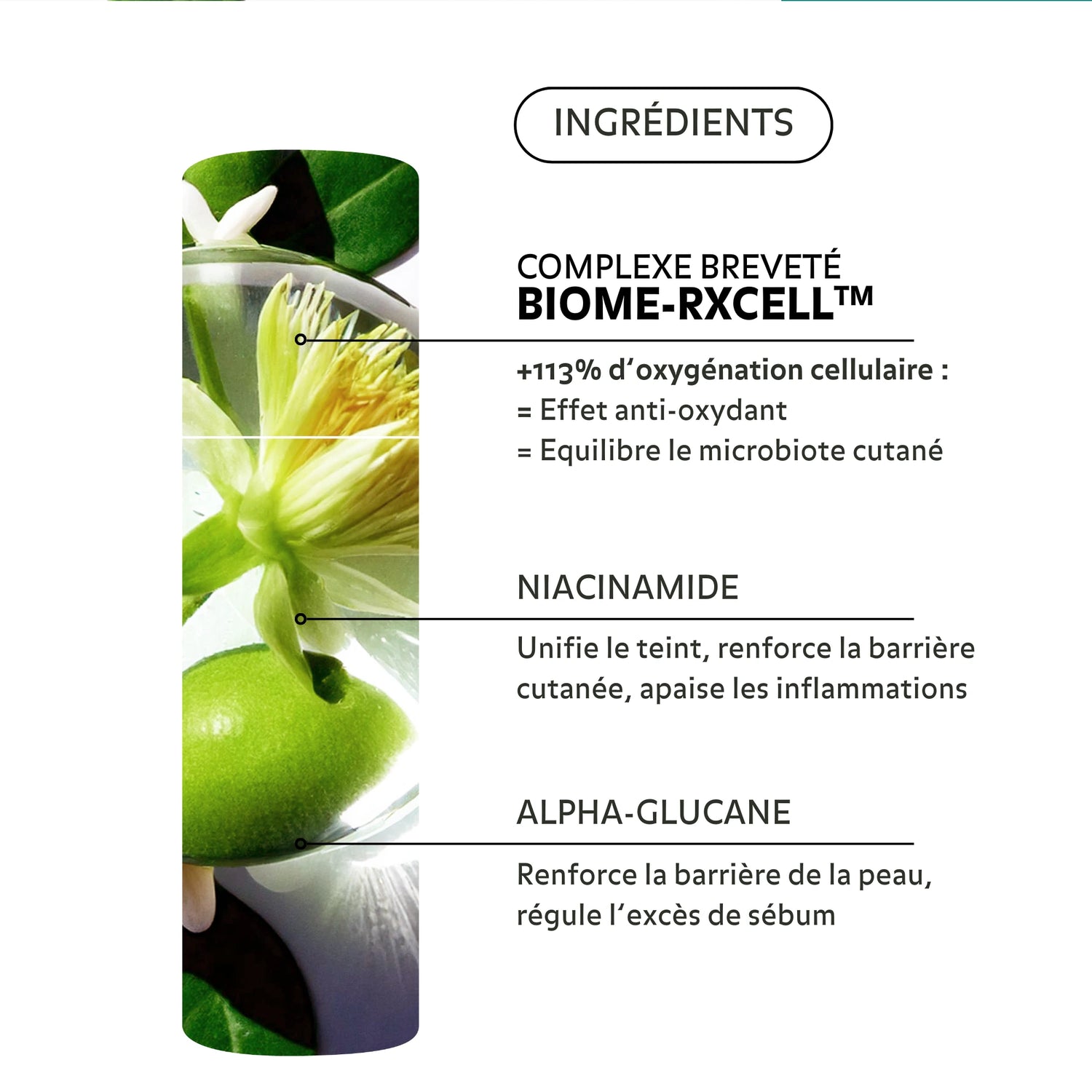 Ingrédients du Sérum Perfecteur de Peau Pureality : Biome-Rxcell™, niacinamide, alpha-glucane pour un teint unifié, peau équilibrée et purifiée.